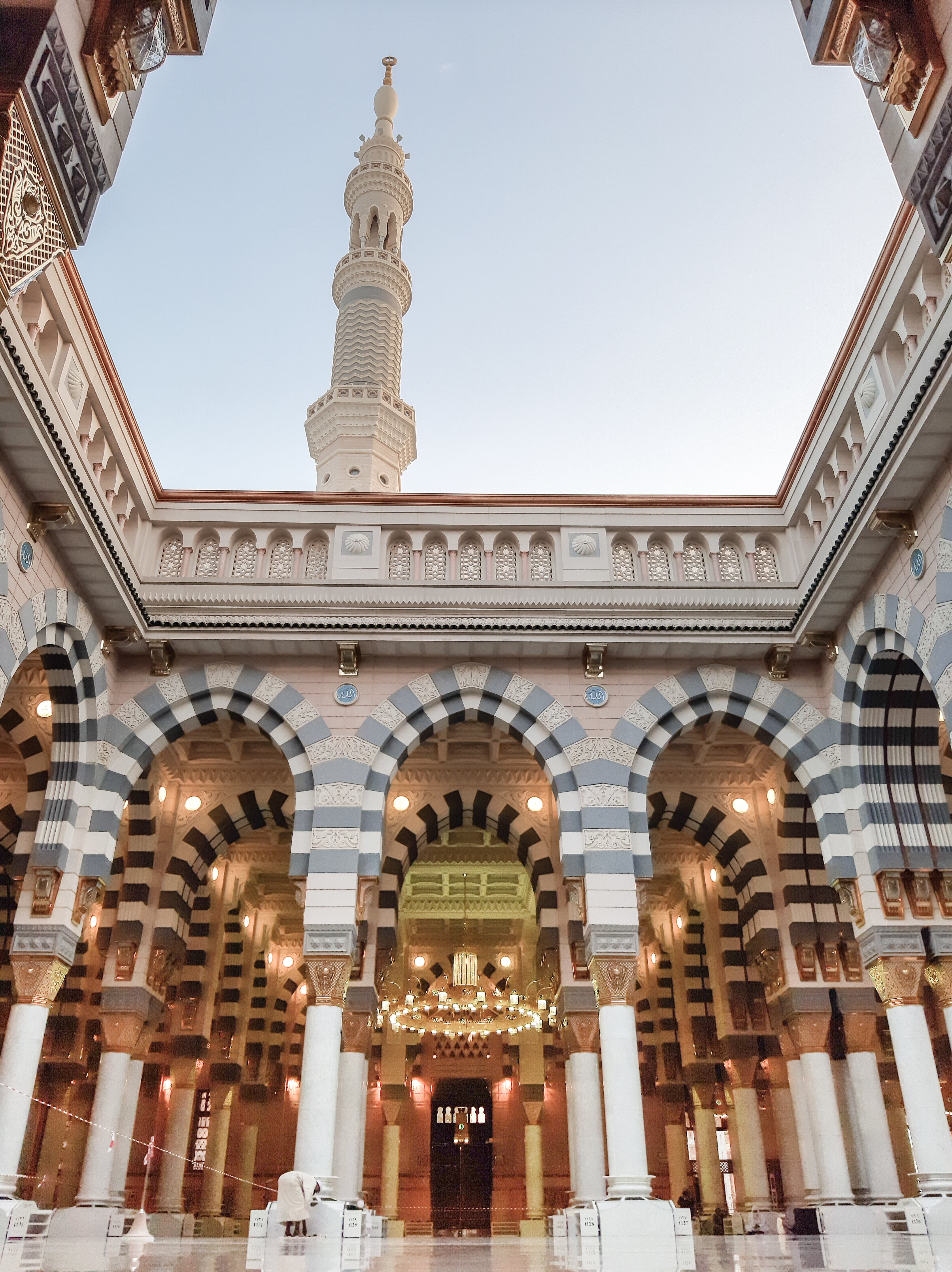 palms in madina